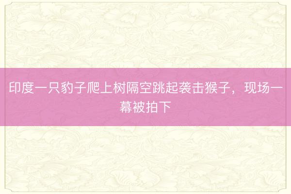 印度一只豹子爬上树隔空跳起袭击猴子，现场一幕被拍下
