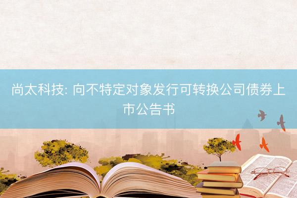 尚太科技: 向不特定对象发行可转换公司债券上市公告书