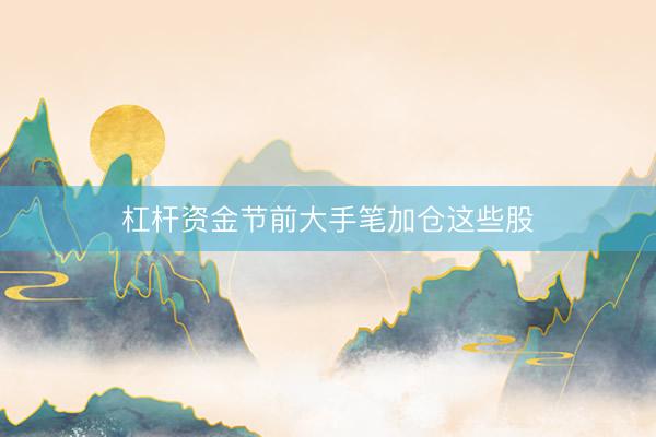 杠杆资金节前大手笔加仓这些股