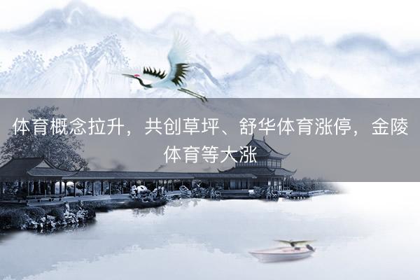 体育概念拉升，共创草坪、舒华体育涨停，金陵体育等大涨