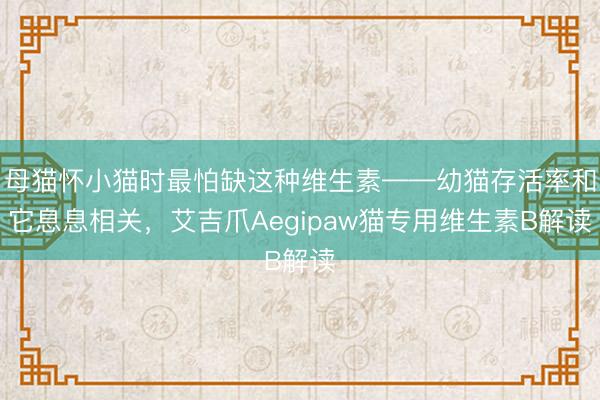 母猫怀小猫时最怕缺这种维生素——幼猫存活率和它息息相关，艾吉爪Aegipaw猫专用维生素B解读