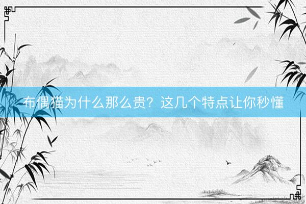 布偶猫为什么那么贵？这几个特点让你秒懂