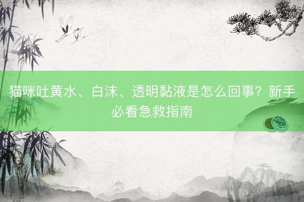 猫咪吐黄水、白沫、透明黏液是怎么回事？新手必看急救指南