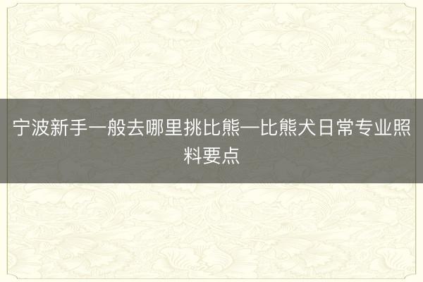 宁波新手一般去哪里挑比熊—比熊犬日常专业照料要点