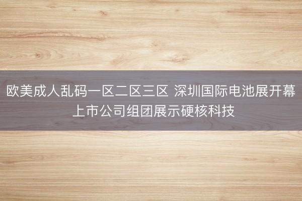 欧美成人乱码一区二区三区 深圳国际电池展开幕 上市公司组团展示硬核科技