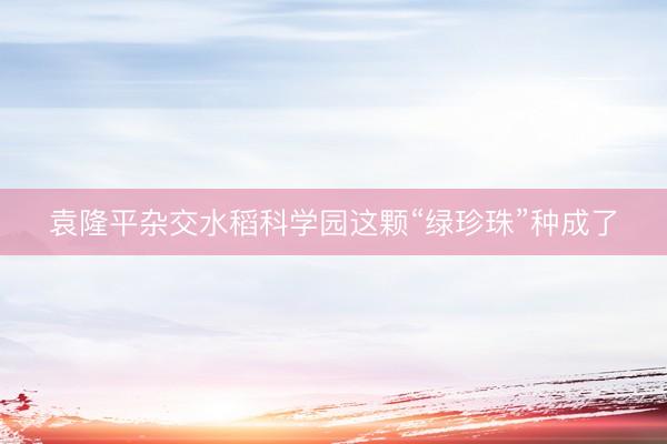 袁隆平杂交水稻科学园这颗“绿珍珠”种成了