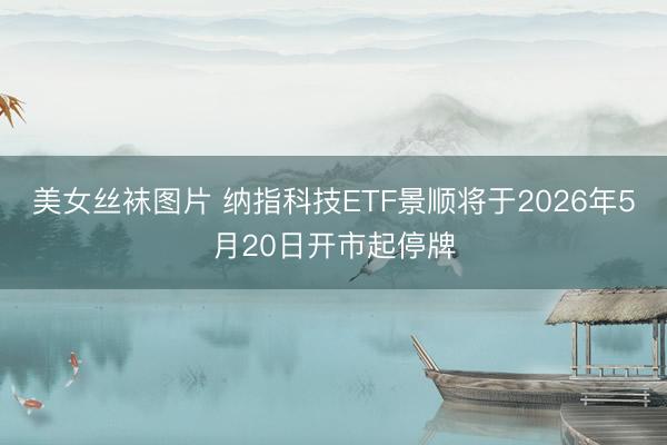 美女丝袜图片 纳指科技ETF景顺将于2026年5月20日开市起停牌