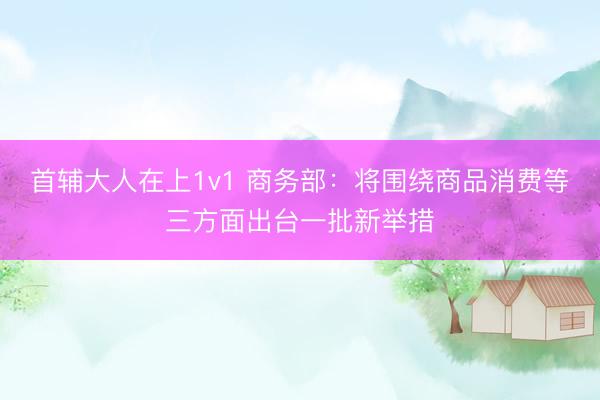 首辅大人在上1v1 商务部:将围绕商品消费等三方面出台一批新举措
