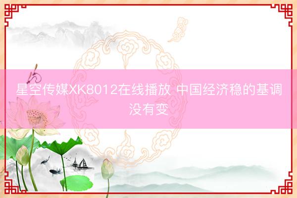 星空传媒XK8012在线播放 中国经济稳的基调没有变