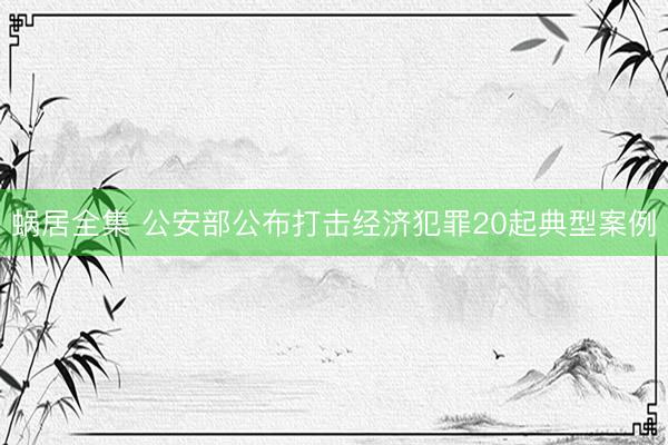 蜗居全集 公安部公布打击经济犯罪20起典型案例