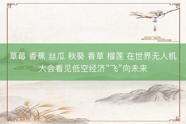 草莓 香蕉 丝瓜 秋葵 香草 榴莲 在世界无人机大会看见低空经济“飞”向未来
