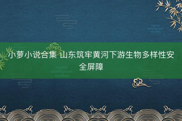 小萝小说合集 山东筑牢黄河下游生物多样性安全屏障