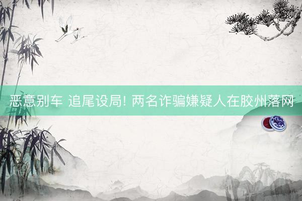恶意别车 追尾设局! 两名诈骗嫌疑人在胶州落网