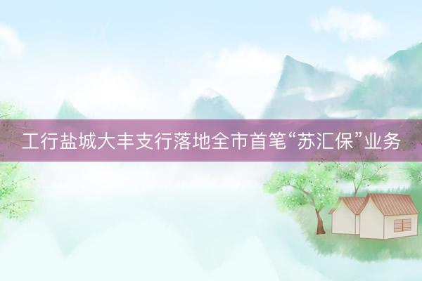 工行盐城大丰支行落地全市首笔“苏汇保”业务