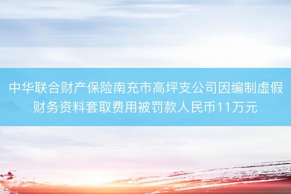中华联合财产保险南充市高坪支公司因编制虚假财务资料套取费用被罚款人民币11万元