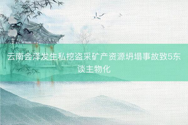 云南会泽发生私挖盗采矿产资源坍塌事故致5东谈主物化