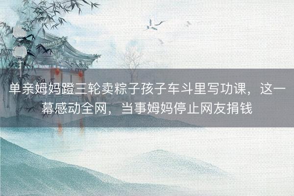 单亲姆妈蹬三轮卖粽子孩子车斗里写功课，这一幕感动全网，当事姆妈停止网友捐钱