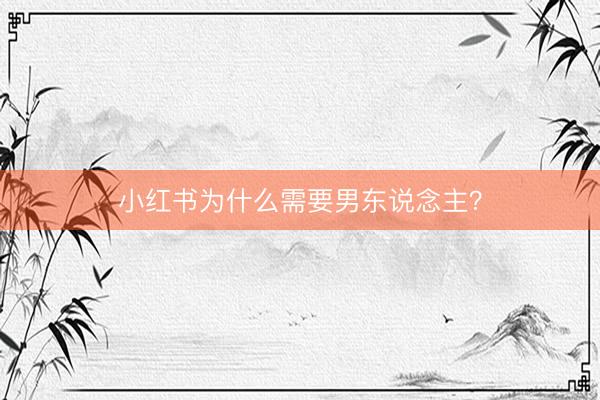 小红书为什么需要男东说念主？