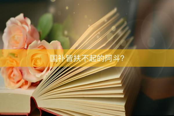 国补皆扶不起的阿斗？