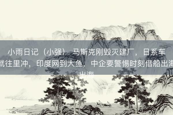 小雨日记（小强） 马斯克刚毁灭建厂，日系车就往里冲，印度网到大鱼，中企要警惕时刻借船出海