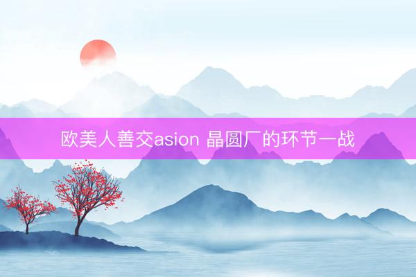 欧美人善交asion 晶圆厂的环节一战