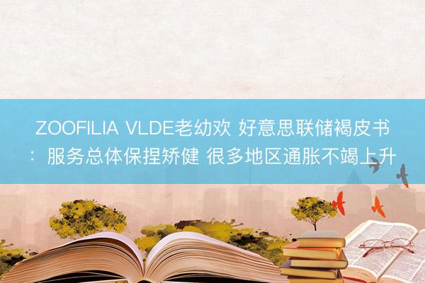 ZOOFILIA VLDE老幼欢 好意思联储褐皮书：服务总体保捏矫健 很多地区通胀不竭上升