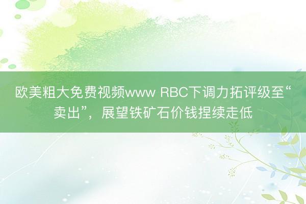 欧美粗大免费视频www RBC下调力拓评级至“卖出”，展望铁矿石价钱捏续走低