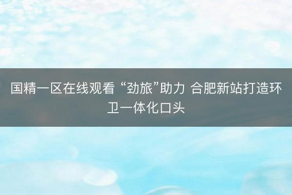 国精一区在线观看 “劲旅”助力 合肥新站打造环卫一体化口头