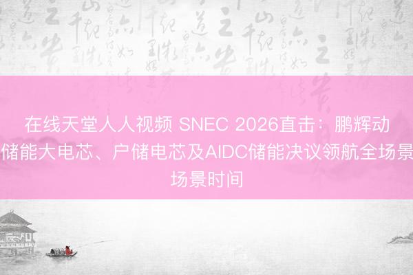 在线天堂人人视频 SNEC 2026直击：鹏辉动力以储能大电芯、户储电芯及AIDC储能决议领航全场景时间