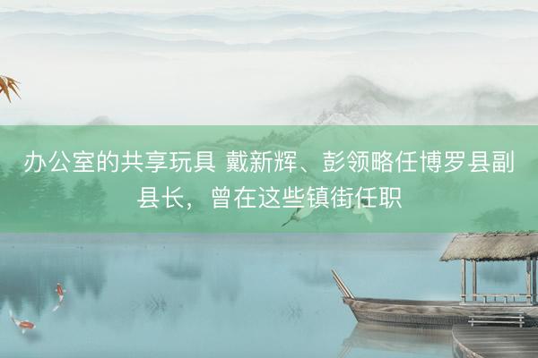 办公室的共享玩具 戴新辉、彭领略任博罗县副县长,曾在这些镇街任职