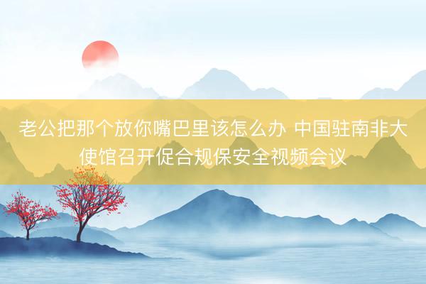 老公把那个放你嘴巴里该怎么办 中国驻南非大使馆召开促合规保安全视频会议