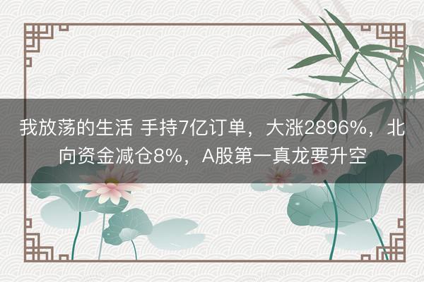 我放荡的生活 手持7亿订单,大涨2896%,北向资金减仓8%,A股第一真龙要升空